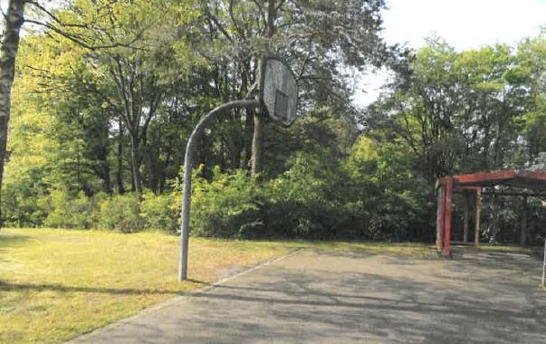POL-CE: Diebstahl eines Basketballkorbes