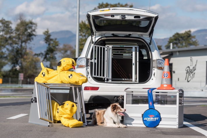 Grosser TCS Hundeboxentest - Wie sie ihren Vierbeiner am sichersten transportieren