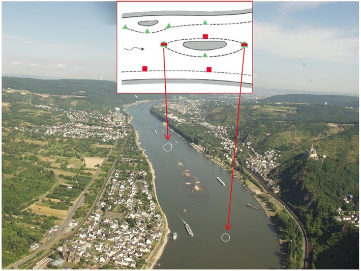 PP-ELT: Mehrere Sportbootunfälle im Bereich Koblenz