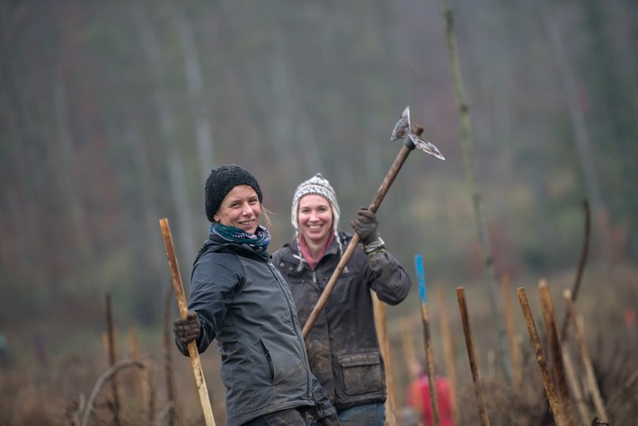 Großer Pflanz-Tag in Thüngersheim: Fast 90 Freiwillige mit dem Bergwaldprojekt e.V. im Einsatz für den Wald der Zukunft
