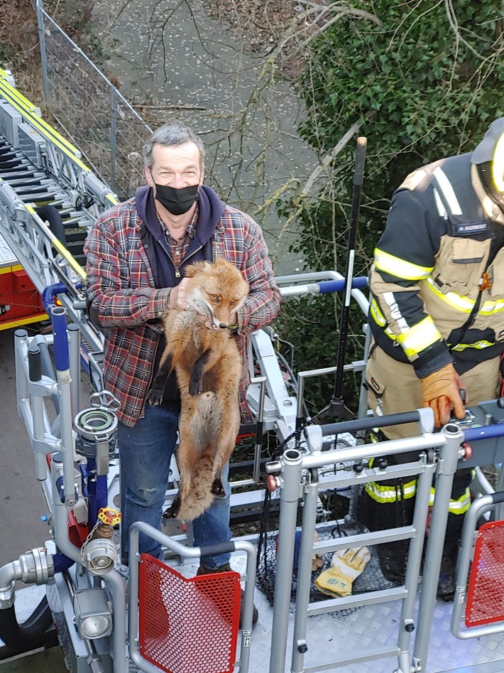 FW-PI: Feuerwehr rettet Fuchs von einem Vordach eines Einkaufszentrums