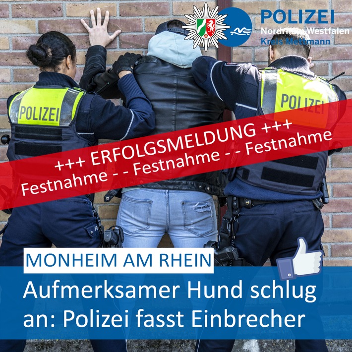 POL-ME: Hund schlägt an: Polizei fasst mutmaßlichen Autoknacker und Einbrecher - Monheim am Rhein - 2304044