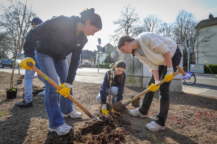 BAUHAUS pflanzt Waldinsel in Bonn