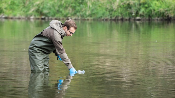 Studie an der Lippe: 1.072 Arten in einem Eimer Wasser