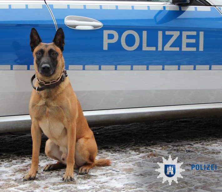 POL-HH: 210115-2. Polizeihund &quot;Buk&quot; schnappt Graffiti - Sprayer