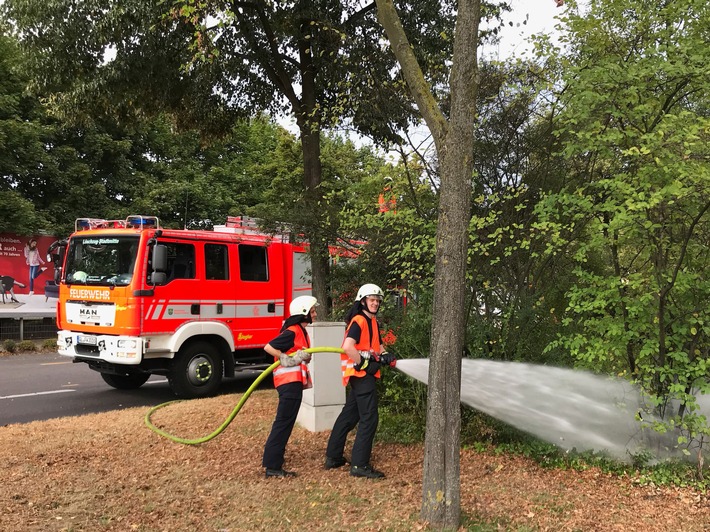 FW-GL: Die Bäume haben Durst: Jetzt leistet auch die Feuerwehr Amtshilfe