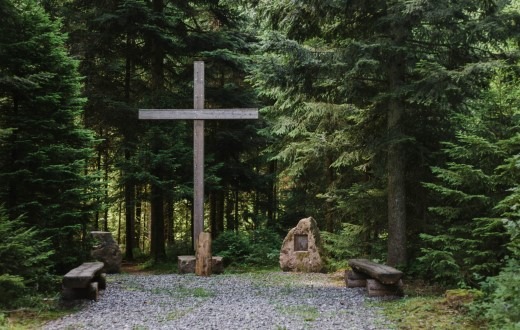 Jubiläum: FriedWald Schenkenzell wird zehn Jahre