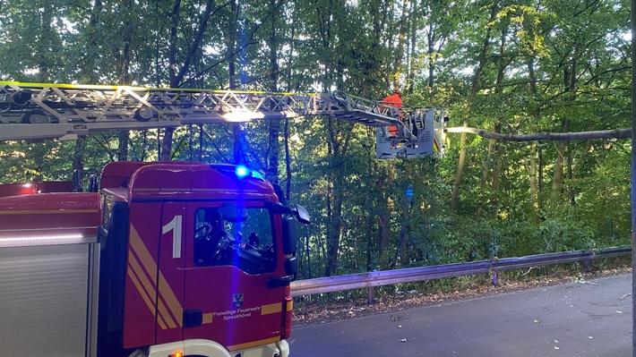 FW-EN: Baum stürzt auf Telefonleitung