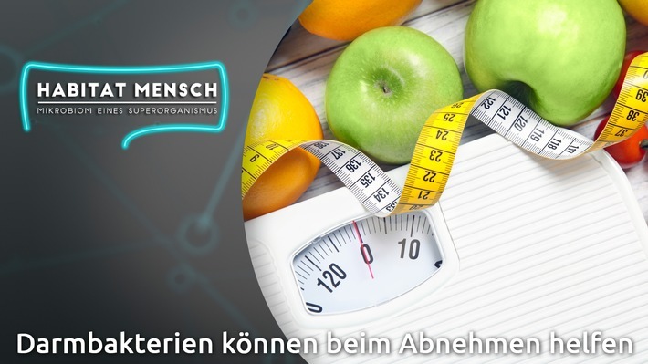 Ernährungsmediziner Dr. Matthias Riedl Gast im neuen Video-Podcast Habitat Mensch bei health tv / Darmbakterien können beim Abnehmen helfen / Weiterer Text über ots und www.presseportal.de/nr/129156 / Die Verwendung dieses Bildes ist für redaktionelle Zwecke unter Beachtung ggf. genannter Nutzungsbedingungen honorarfrei. Veröffentlichung bitte mit Bildrechte-Hinweis.