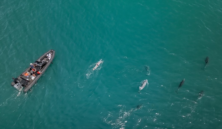 One lap of the island of Jersey in an exceptional time / Another record for extreme swimmer Nathalie Pohl