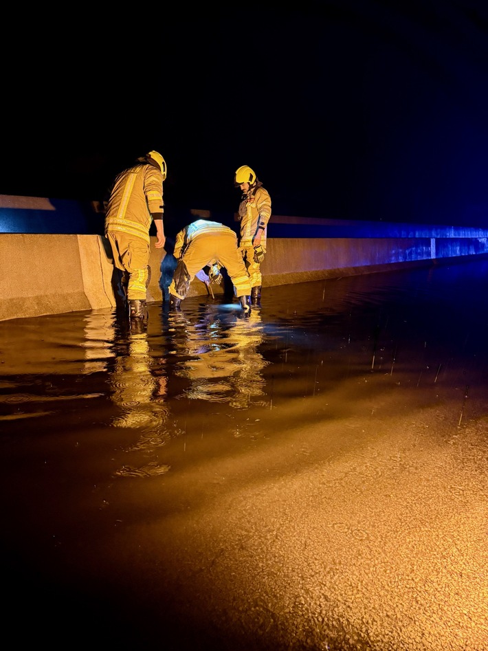 FW Ratingen: Verkehrsunfall auf der BAB 3