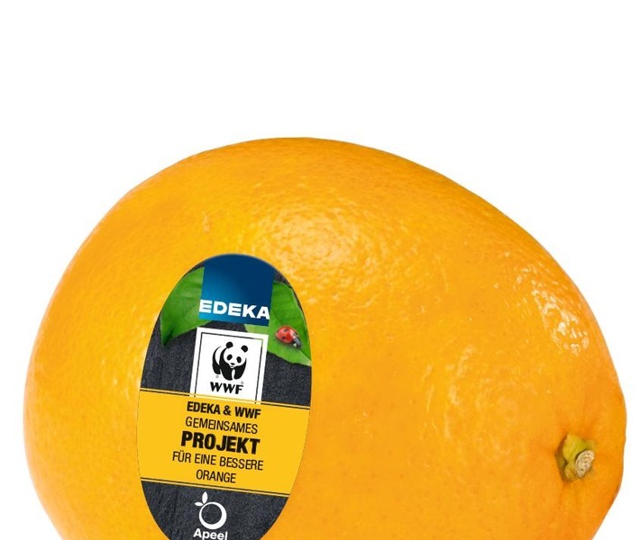 Kampf gegen Foodwaste: EDEKA und Apeel machen jetzt auch Zitrusfrüchte länger haltbar / Weiterer Text über ots und www.presseportal.de/nr/51907 / Die Verwendung dieses Bildes ist für redaktionelle Zwecke honorarfrei. Veröffentlichung bitte unter Quellenangabe: "obs/EDEKA ZENTRALE AG & Co. KG"