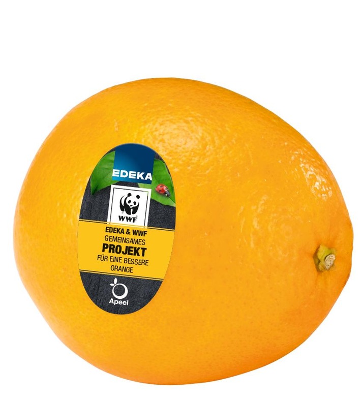 Kampf gegen Foodwaste: EDEKA und Apeel machen jetzt auch Zitrusfrüchte länger haltbar (FOTO)