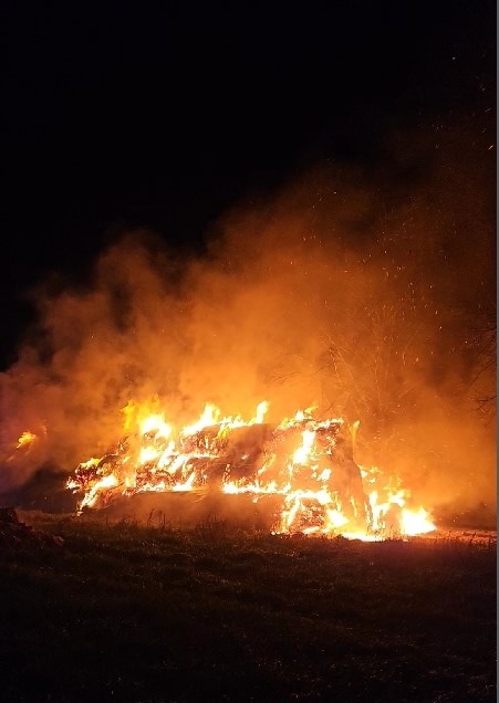 POL-VER: Pressemitteilung der Polizeiinspektion Verden/Osterholz von Samstag, den 21.12.2024