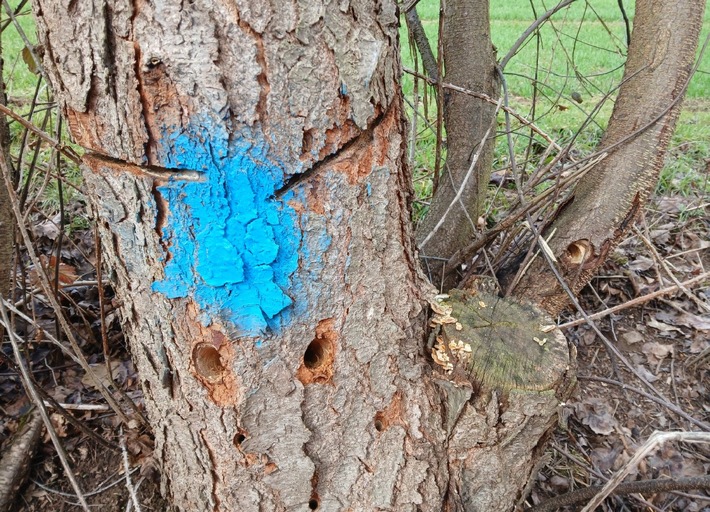 POL-OH: Angesägte Bäume an der Kreisstraße 32 - Zeugenaufruf