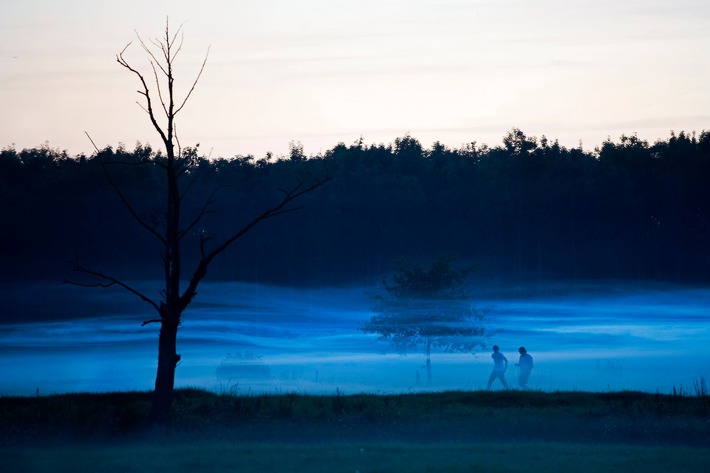 Friesland bringt 2021 eine Ode an seine einzigartige Landschaft