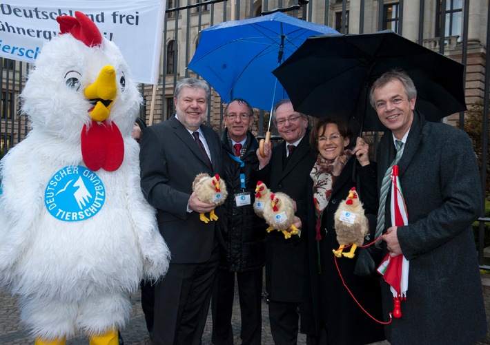 Bald Freiheit für die Hühner? / Käfighaltung von Legehennen Thema im Bundesrat (mit Bild)