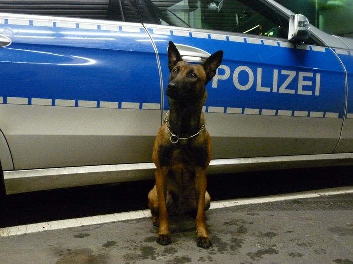 POL-HH: 220119-2. Eine vorläufige Festnahme wegen Verdacht des Handels mit Betäubungsmitteln in Hamburg-Tonndorf