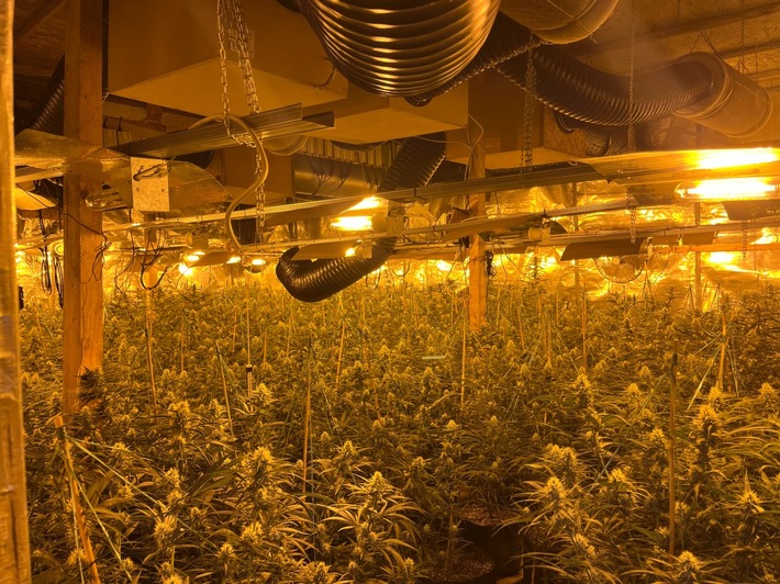 POL-MK: Cannabis-Plantage im ehemaligen Steinbruch - Zwei Festnahmen