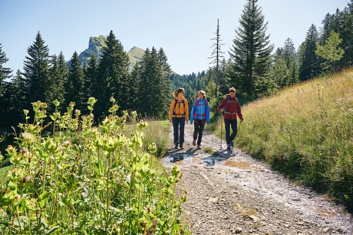 Neuer Card-Kunde: Bregenzerwald & Großes Walsertal