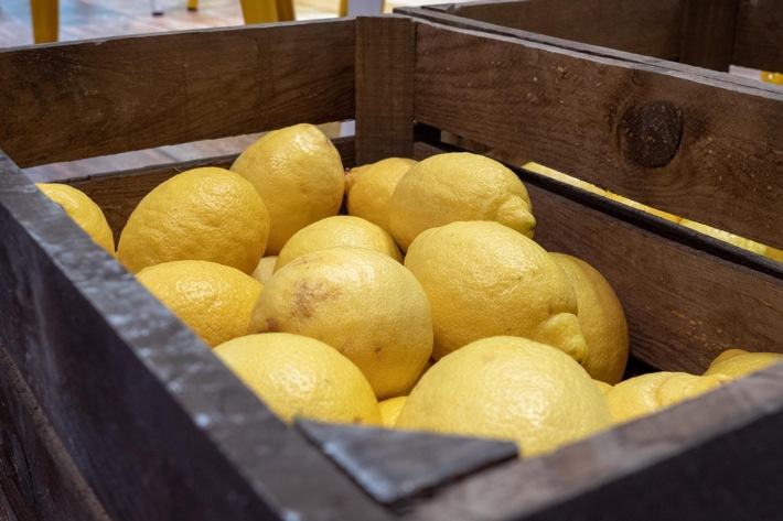 Canada, the largest importer of EU lemon outside of Europe