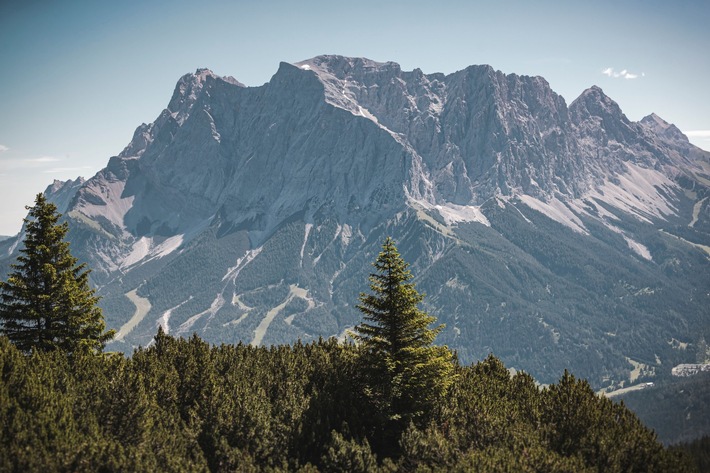 Alps Future Award erstmals beim AlpenKlimaGipfel: Lebensraum Tirol Gruppe und AlpNet prämieren zukunftsweisende Projekte