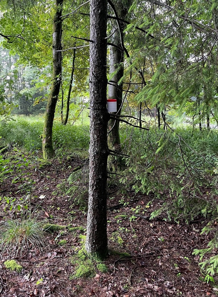 Luftqualität in Schmallenberg wird überprüft