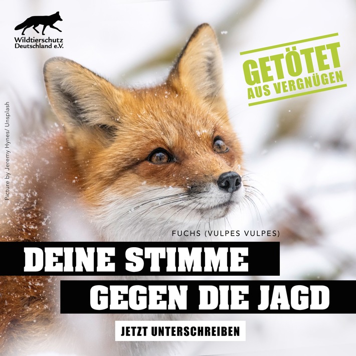 WDSN_gegen_Jagd_Petition_Beutegreifer_Fuchs.jpg