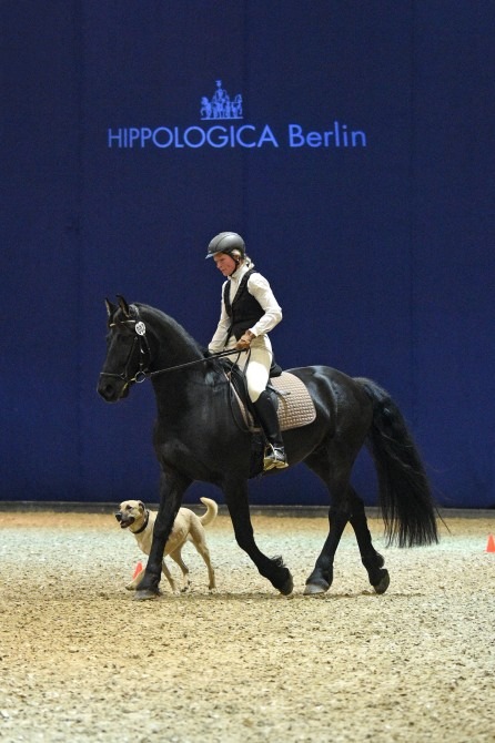 HIPPOLOGICA Berlin 2015: Mögen die (Reit)Spiele beginnen!