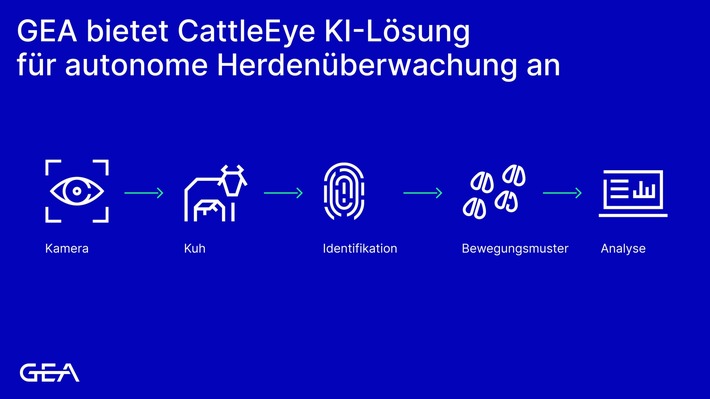 GEA sieht neues Potenzial in der Rinderzucht: CattleEye-Daten unterstützen genetische Ansätze gegen Lahmheit