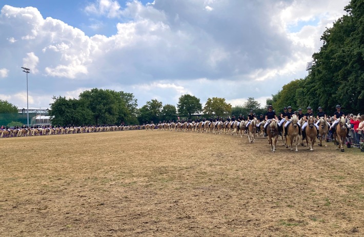 Internationale Haflinger-Gruppe formt größte Quadrille und reitet synchron zum Weltrekord