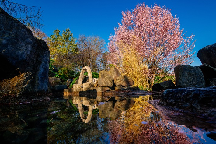 JapanischerGarten_egapark_1.JPG