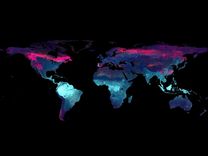 Wie KI, Smartphones und Satelliten gemeinsam helfen, globale Ökosysteme besser zu verstehen