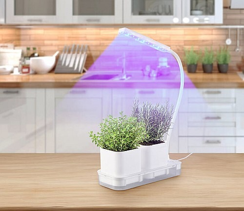 Lieblingspflanzen, Kräuter und mehr selbst züchten: PEARL Mini-Gewächs- & Anzucht-Station PAS-30, 2 Töpfe, Wachstums-LEDs & Wassertank