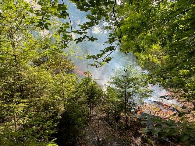 POL-PDTR: Brand eines Waldgeländes in Hermeskeil