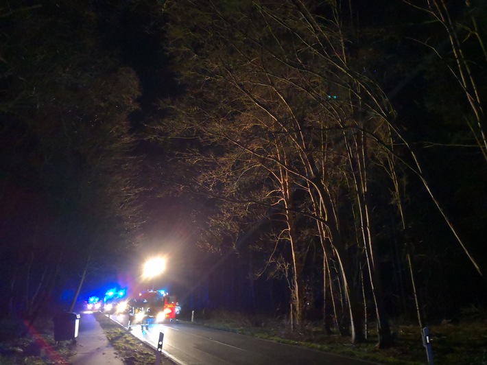 POL-NI: Orkantief "Victoria" stürzt Baum auf fahrenden Pkw / Vollsperrung Landesstraße