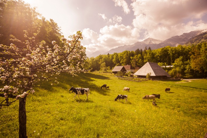 Le Ballenberg est prêt / La saison du Musée suisse en plein air débutera le 19 mai 2020