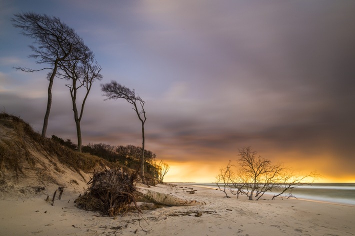 Reportage: Lichtspiele zwischen Ostsee und Bodden