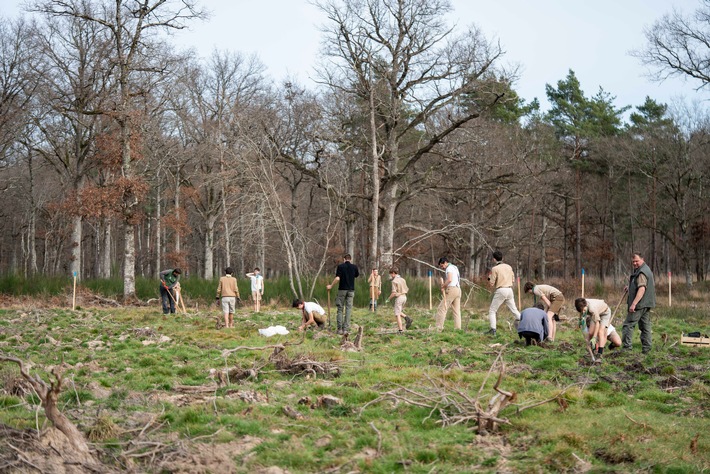 Internationaler Tag des Baumes - Pflanzprojekt für die Zukunft von Chambord