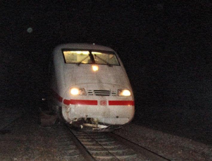 BPOLI MD: Intercityexpress prallt mit Hirschkuh zusammen