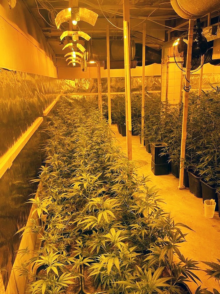 POL-ME: Schlag gegen den organisierten Drogenhandel: Polizei nimmt professionell betriebene Cannabis-Plantage hoch - Velbert - 2307029