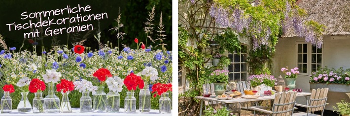 Geranien auf der Sommertafel: Blühende Ideen für Picknick, Cottage-Atmosphäre und moderne Tafeln