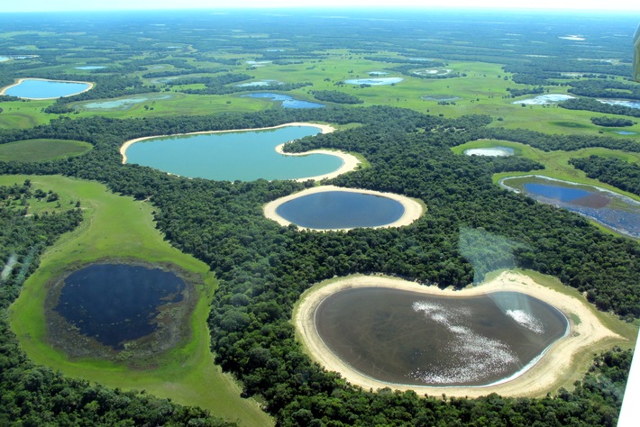 Aerial view from Pantanal. Photo by Shutterstock - Lucas Leuzinger.jpg