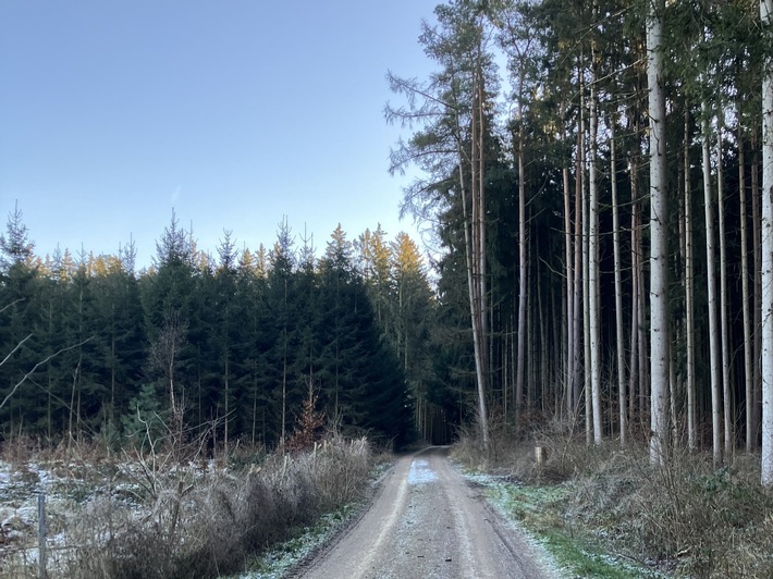 Startschuss für den Windpark Holzheim