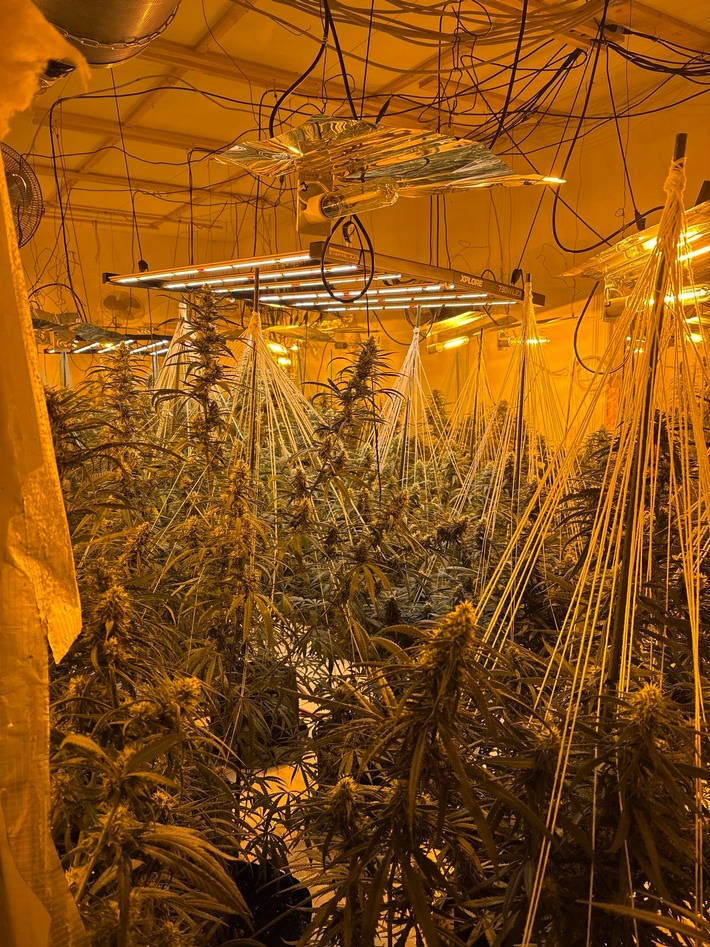 POL-CUX: Wohnungsbrand in Mehrparteienhaus in Stotel - Ein Anwohner schwer verletzt - Rettungshubschrauber im Einsatz - Gebäudebegehung bringt Cannabis-Plantage ans Licht (Foto im Anhang)