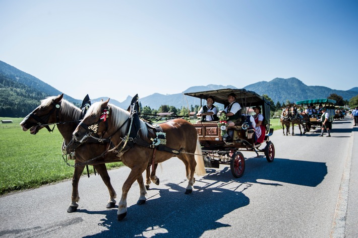 Rosstag kehrt mit neuem Format zurück