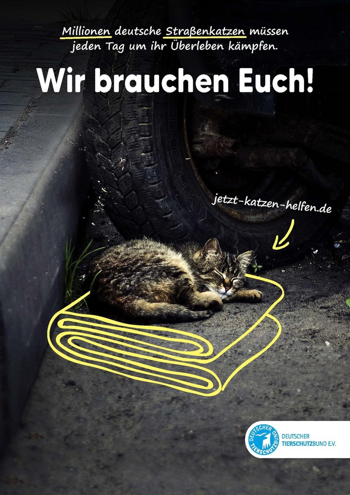 PM - Brandenburg entscheidet für mehr Katzenschutz