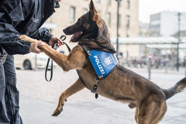 Bundespolizeidirektion München: Beamter mit Diensthund schreitet ein / Bundespolizist unterstützt Zugbegleiterin