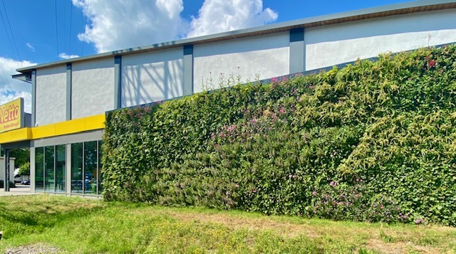 "Living Wall" für Netto-Filiale in Steilshoop