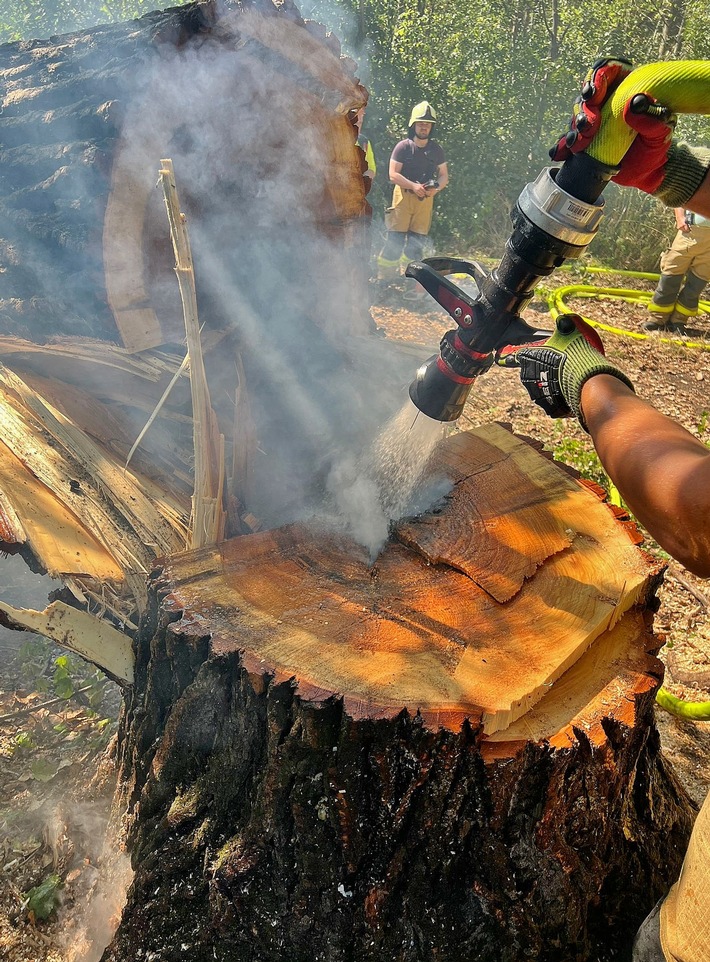 FW Grevenbroich: Feuer in hohlem Baum löst stundenlangen Löscheinsatz aus / Aufmerksame Spaziergängerin verhindert Waldbrand